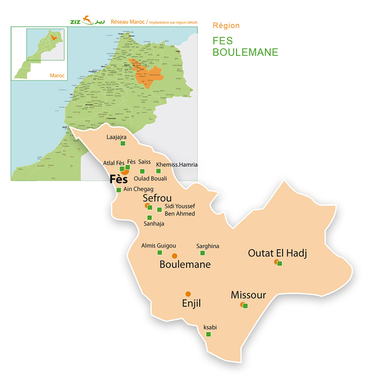 Carte Rseau ZIZ Carte Rseau ZIZ