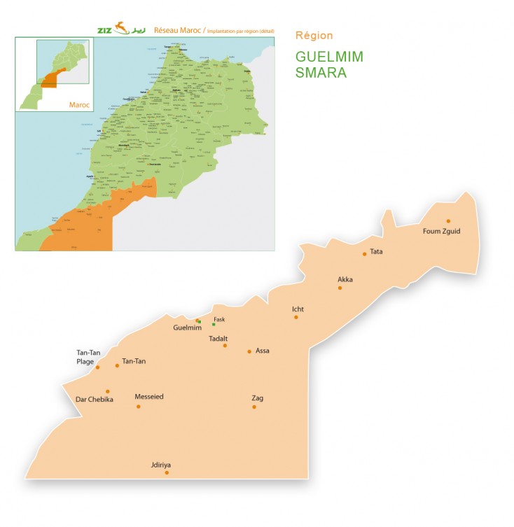 Carte Rseau ZIZ